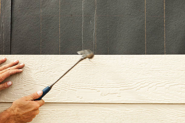 Best Custom Siding Design  in Fort Pierce North, FL